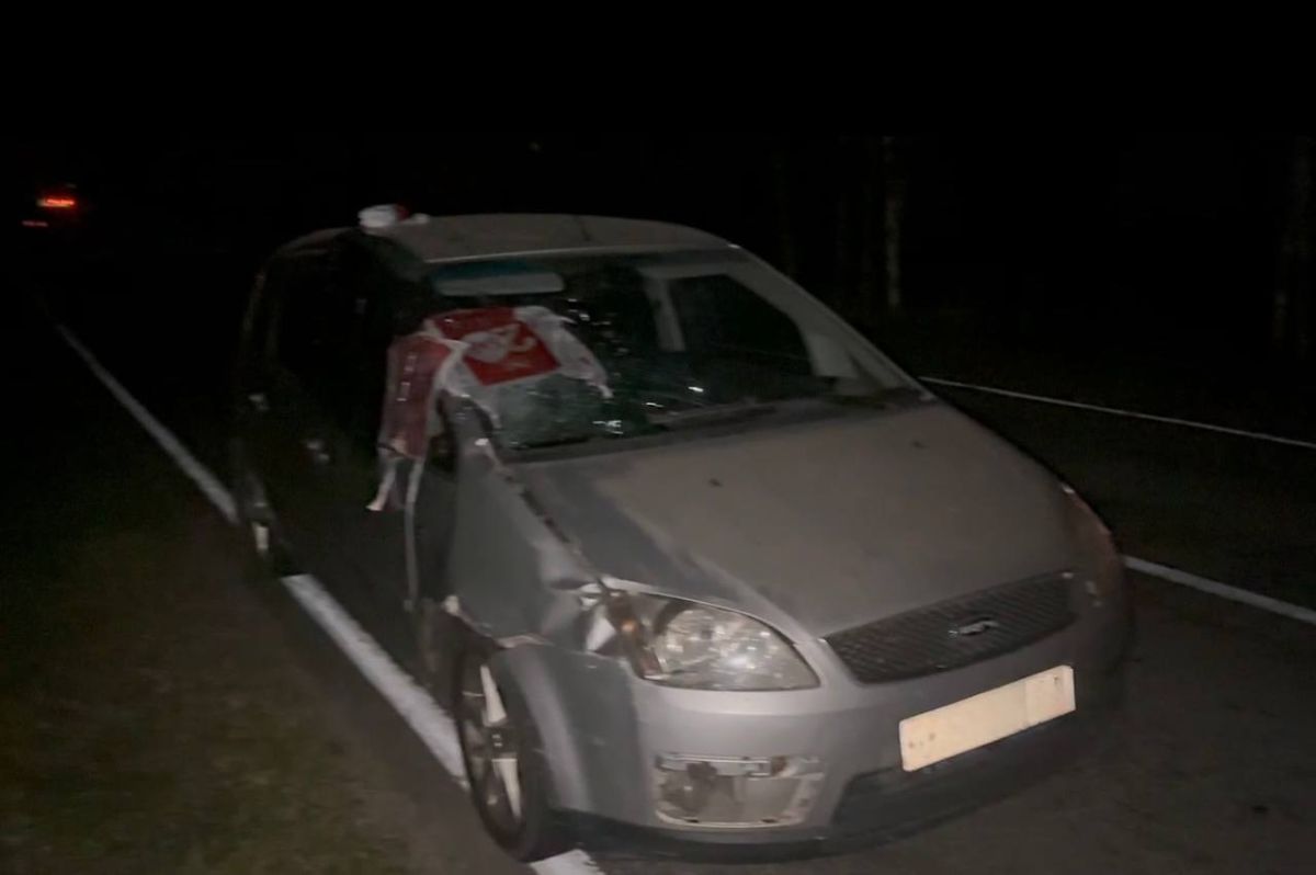 Сведения о состоянии аварийности на территории Брянской области за 29 августа 2026 года Сведения о состоянии аварийности на территории Брянской области за 29 августа 2026 года
