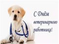 Уважаемые работники и ветераны ветеринарной службы!