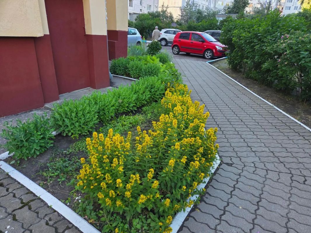 Брянск глазами наших подписчиков Брянск глазами наших подписчиков