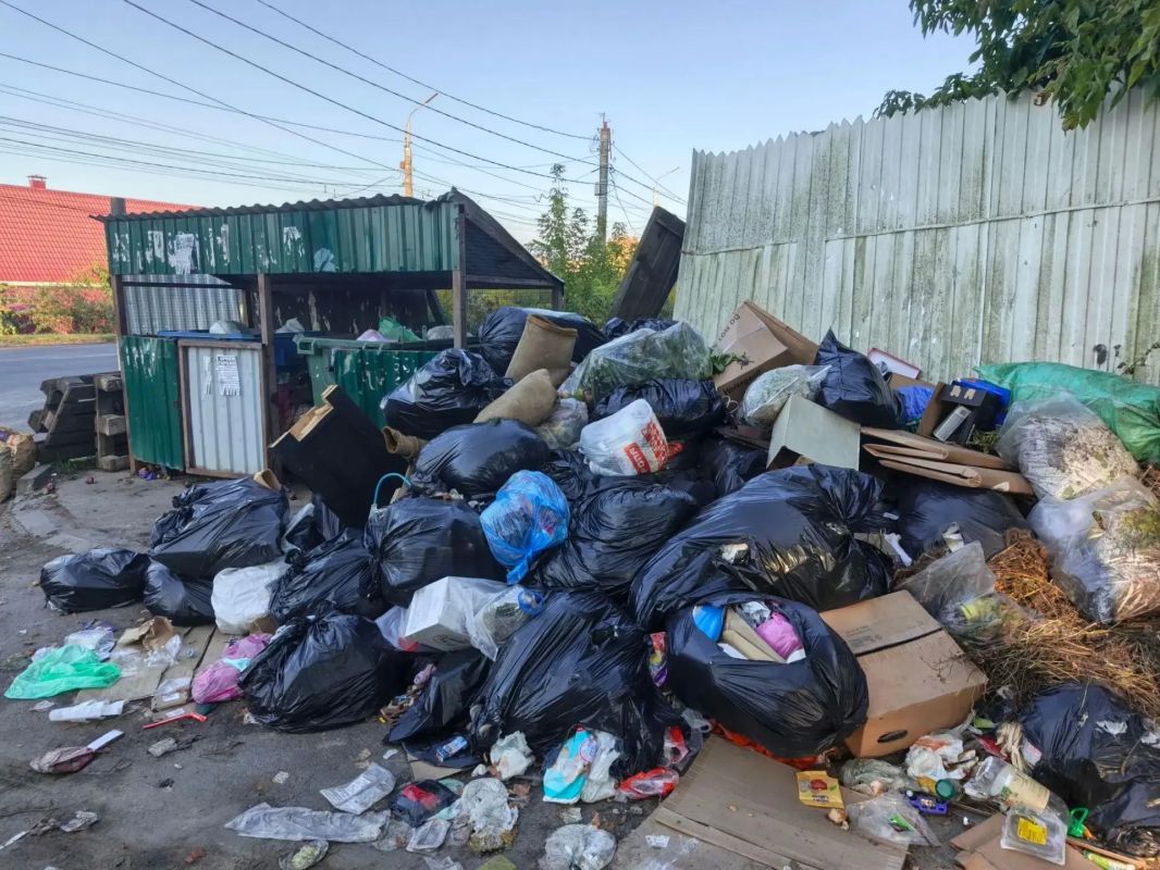 Мусорный апокалипсис в Брянске: почему контейнерные площадки превращаются в свалки? Мусорный апокалипсис в Брянске: почему контейнерные площадки превращаются в свалки?