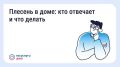 Что делать, если в квартире появилась плесень