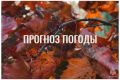 По данным ЦГМС Главного управления МЧС России по Брянской области, 3 сентября в регионе прогнозируется облачная погода с прояснениями