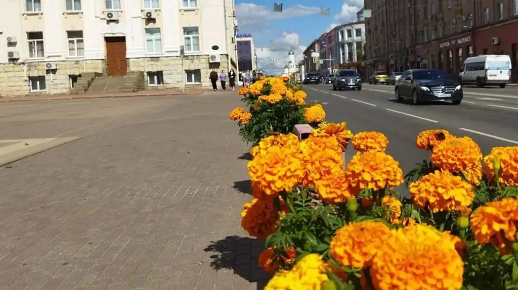 За две недели до Дня города в Брянске обновили разметку и клумбы