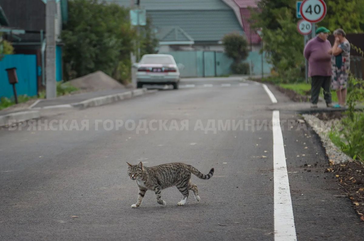В Бежице заасфальтировали переулок Северный В Бежице заасфальтировали переулок Северный