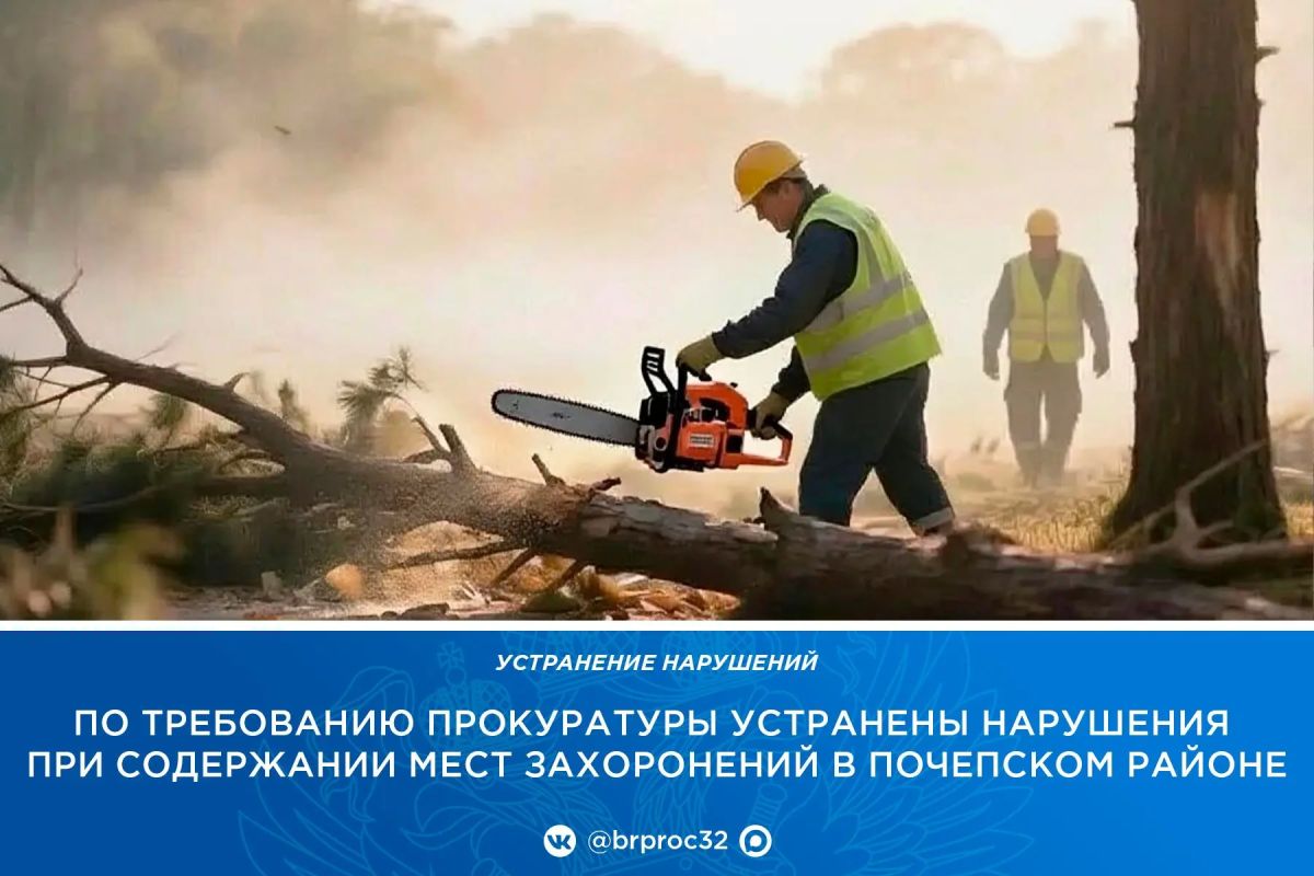 Прокуратура Почепского района провела проверку по обращению местных жителей о ненадлежащем содержании мест захоронений