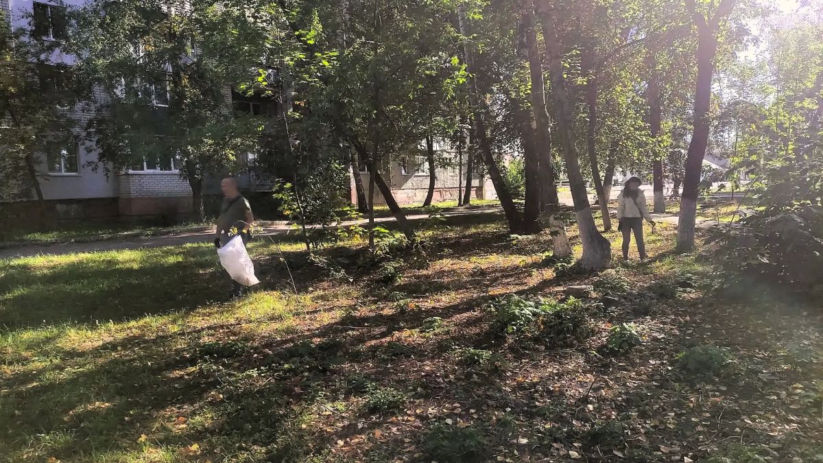 В преддверии празднования 83-й годовщины освобождения Брянщины от немецко-фашистских захватчиков, сегодня, 5 сентября работники управления по охране и сохранению историко-культурного наследия Брянской области и Брянского... В преддверии празднования 83-й годовщины освобождения Брянщины от немецко-фашистских захватчиков, сегодня, 5 сентября работники управления по охране и сохранению историко-культурного наследия Брянской области и Брянского...