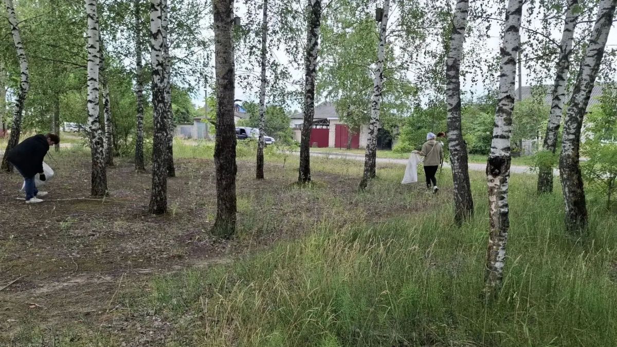 Продолжаем делать территорию Клинцовского района чище Продолжаем делать территорию Клинцовского района чище