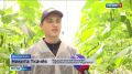 Брянское село Журиничи застраивают 66 домами для аграриев
