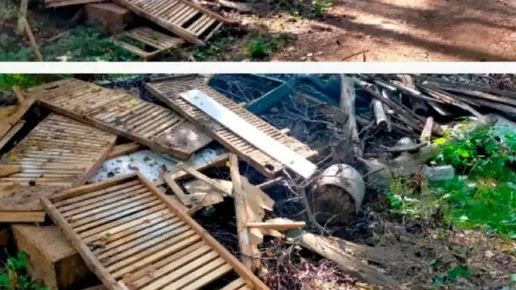 В Клинцовском районе ликвидировали горы мусора на землях лесного фонда