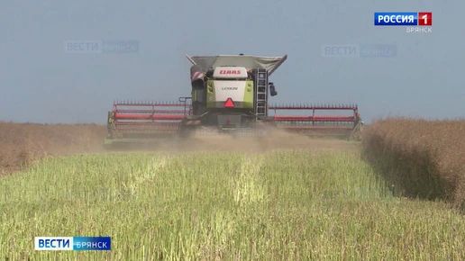 Замгубернатора Борис Грибанов проехал по полям Жуковского и Дубровского районов