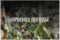 По данным ЦГМС, 14 сентября в регионе прогнозируется облачно с прояснениями