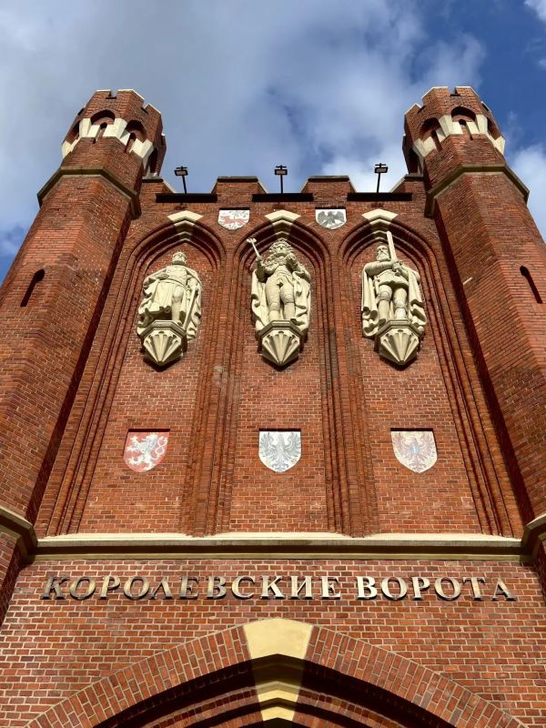Волонтеры культуры в Калининграде Волонтеры культуры в Калининграде