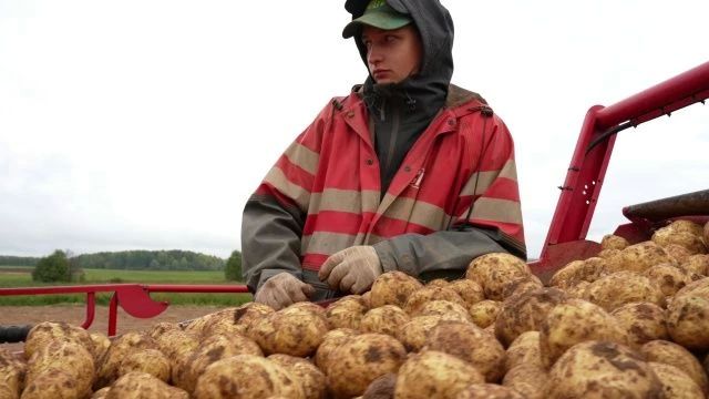 КФХ «Дары Нечерноземья» под руководством Сергея Русакова прошло путь от ручного труда на поле до комбайнов и поставок продукции на всю страну КФХ «Дары Нечерноземья» под руководством Сергея Русакова прошло путь от ручного труда на поле до комбайнов и поставок продукции на всю страну