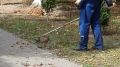В Брянске за сутки подстригли траву на 150 тыс