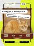 Мы знаем что ты будешь делать сегодня до 12:00…