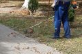 Предпраздничные покосы в разгаре