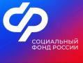 Более 366 тыс. заявлений принято Отделением СФР по Брянской области с начала года