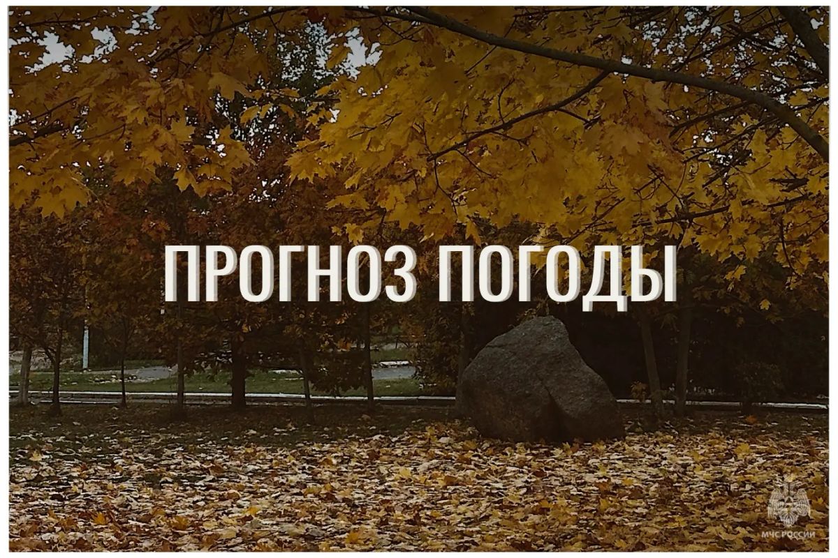 По данным ЦГМС, 17 сентября в регионе прогнозируется переменная облачность