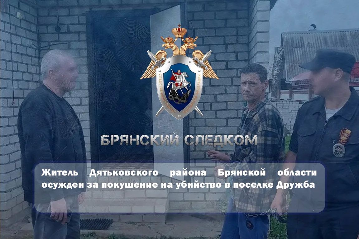 Житель Дятьковского района Брянской области осужден за покушение на убийство в поселке Дружба