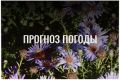 По данным ЦГМС, 18 сентября в регионе прогнозируется переменная облачность