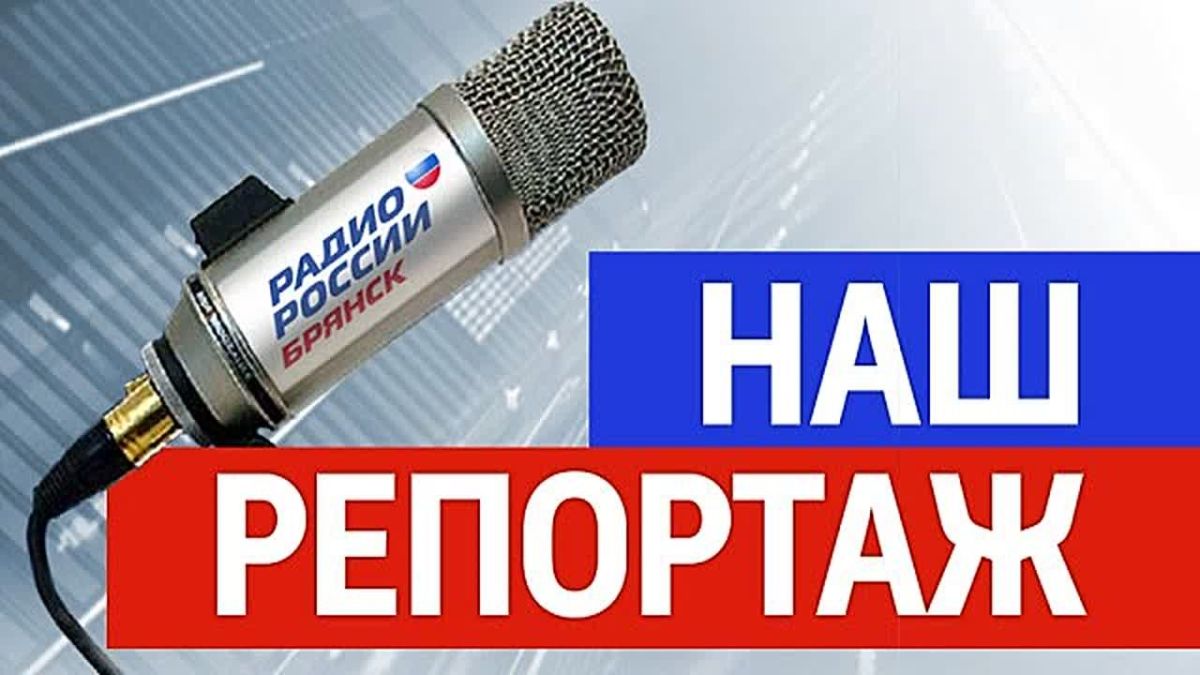 "Наш репортаж". Стая больших бакланов в Брасовском районе