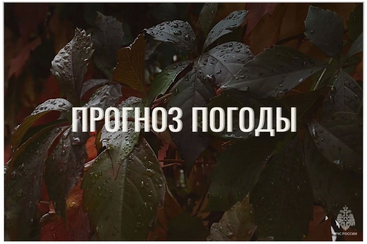 По данным ЦГМС, 19 сентября в регионе прогнозируется переменная облачность