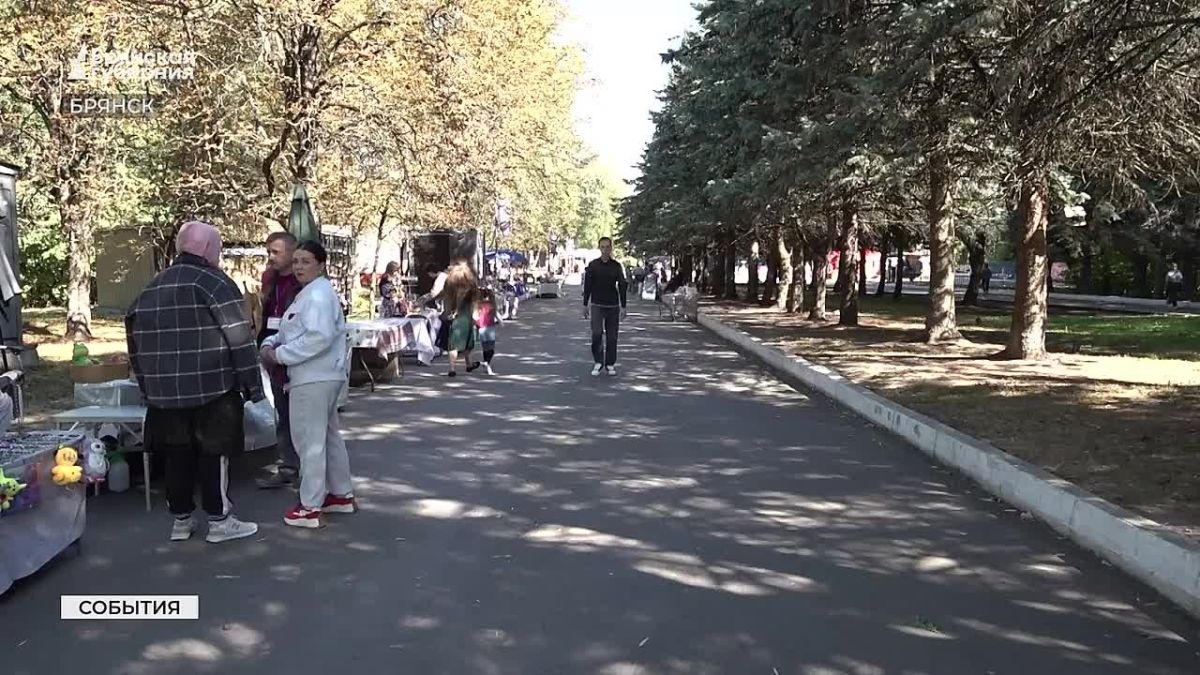 Пальчиковое вязание, резьба по дереву, научные лекции и рок-концерты — в День города Брянск отметил праздник в шести парках