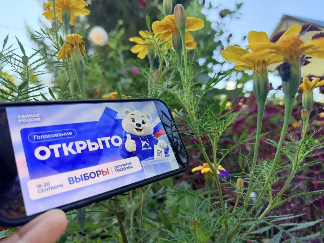 Дан старт второму дню голосования!