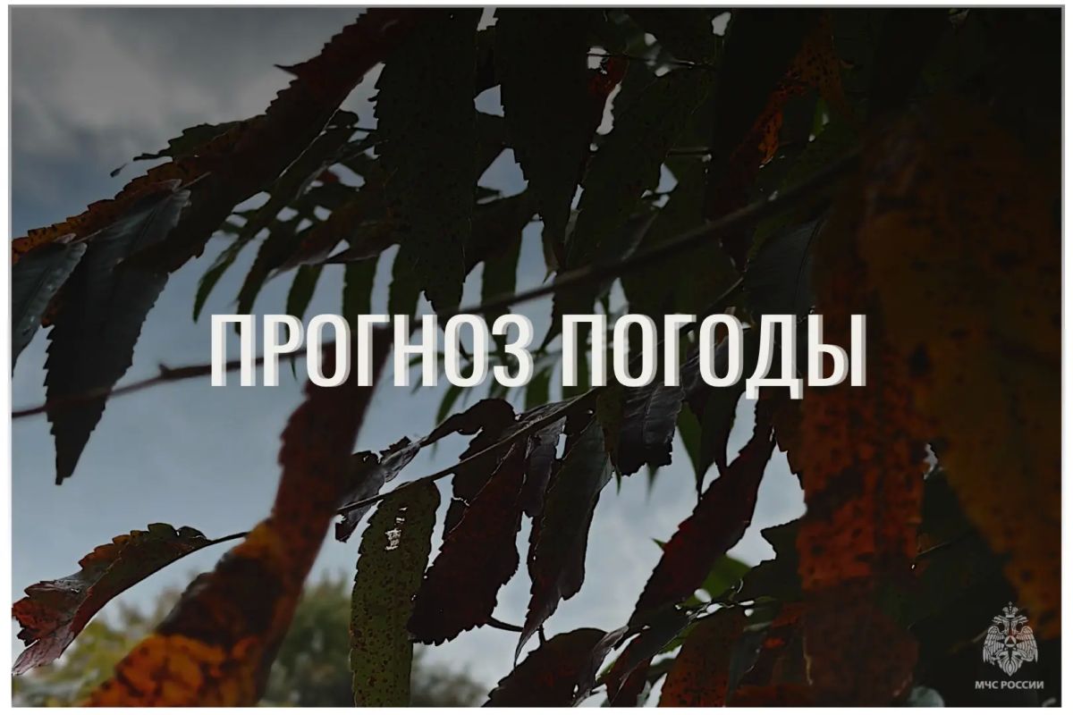 По данным ЦГМС, 21 сентября в регионе прогнозируется переменная облачность