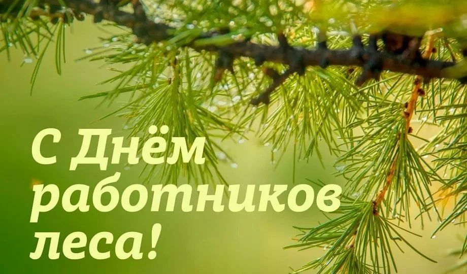 Уважаемые работники лесного хозяйства и ветераны отрасли!