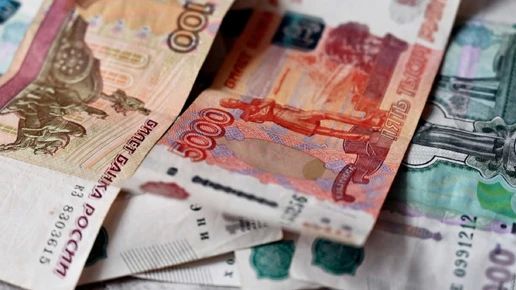 Брянец выплатил долг по алиментам в размере 800 тысяч рублей