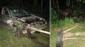 Два человека погибли в ДТП с гужевой повозкой под Дятьково