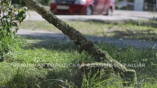 Сотрудники дорожного управления выкосили в Брянске траву на 37 600 квадратных метрах