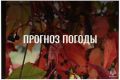 По данным ЦГМС, 24 сентября в регионе прогнозируется облачно