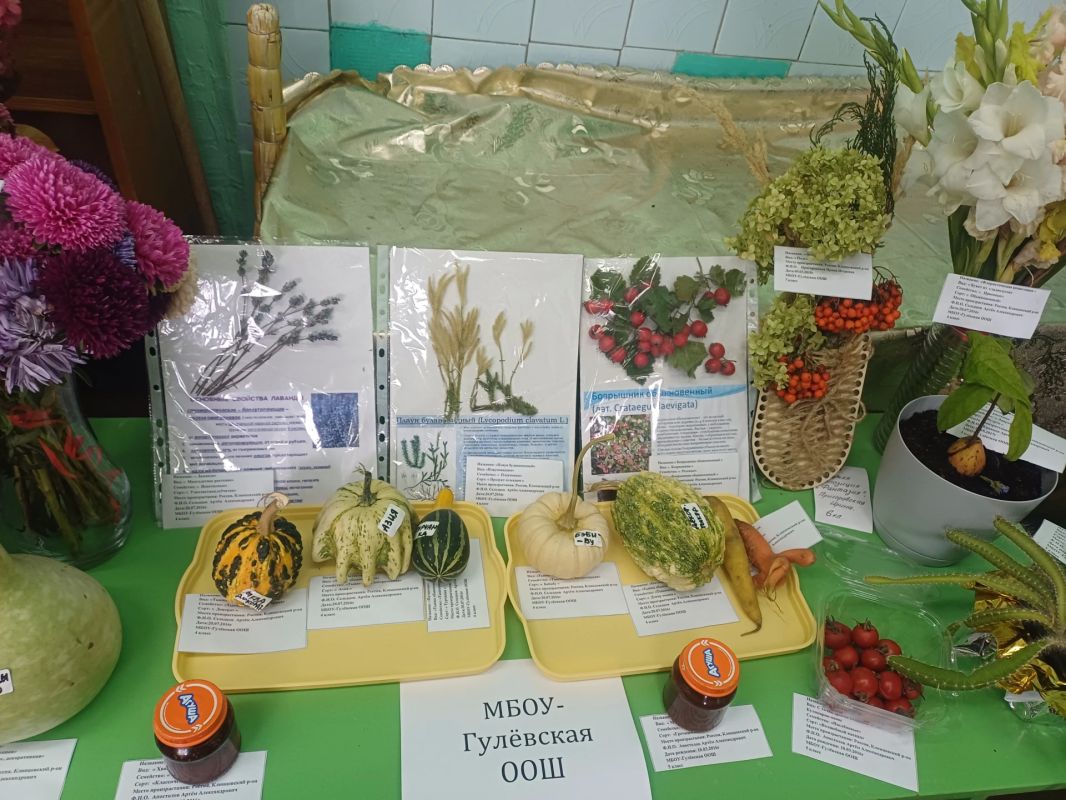На базе Первомайской школы прошёл районный этап эколого-биологической выставки «Юннат-2026» На базе Первомайской школы прошёл районный этап эколого-биологической выставки «Юннат-2026»