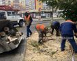 � ������� ����� ������������ ������
