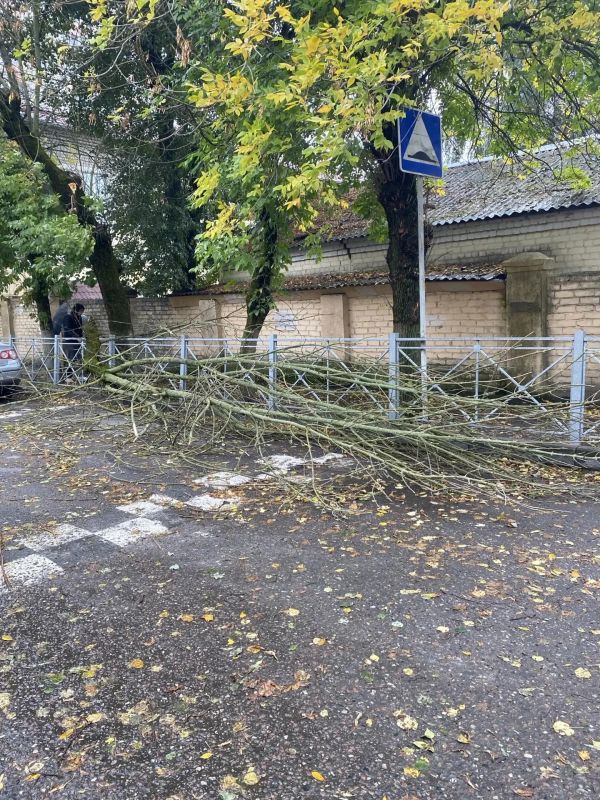 В Брянске ликвидируют последствия шквального ветра В Брянске ликвидируют последствия шквального ветра