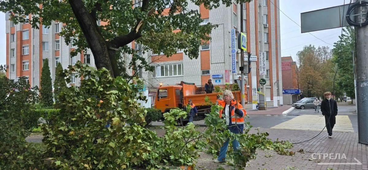В Советском районе Брянска ликвидируют последствия сильного ветра В Советском районе Брянска ликвидируют последствия сильного ветра
