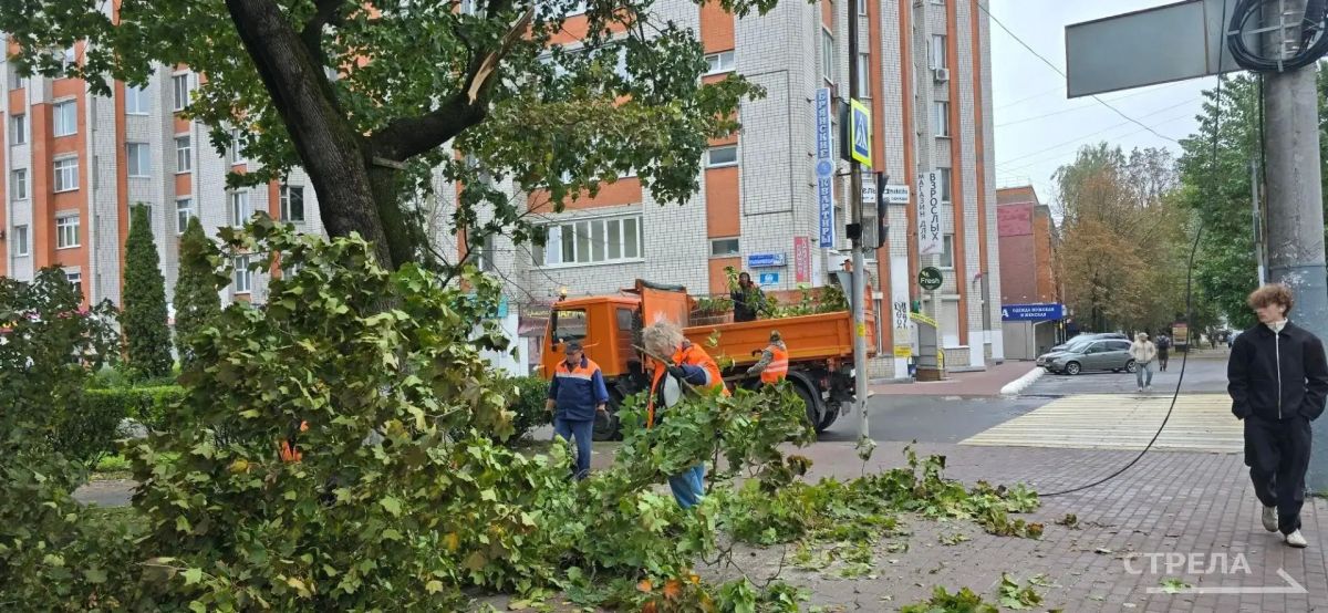 В Советском районе Брянска ликвидируют последствия сильного ветра В Советском районе Брянска ликвидируют последствия сильного ветра