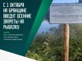 Брянцам рассказали, когда нельзя рыбачить осенью и зимой