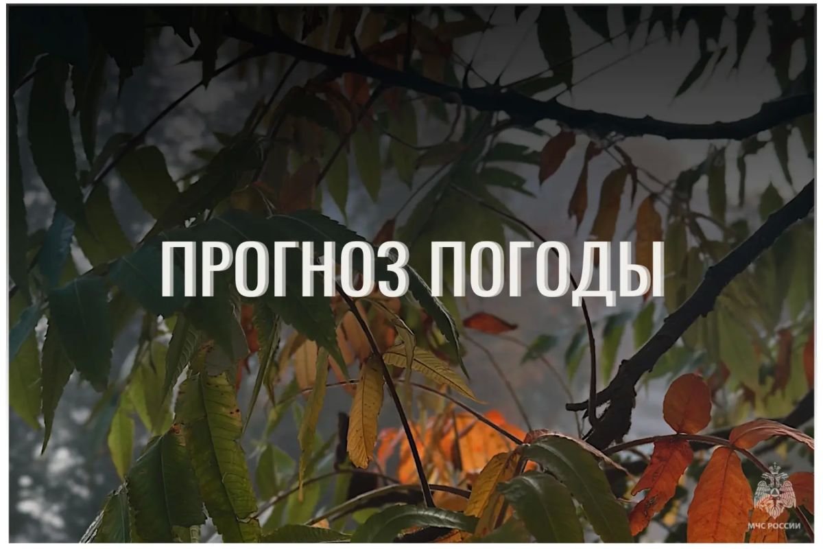 По данным ЦГМС, 29 сентября в регионе прогнозируется переменная облачность