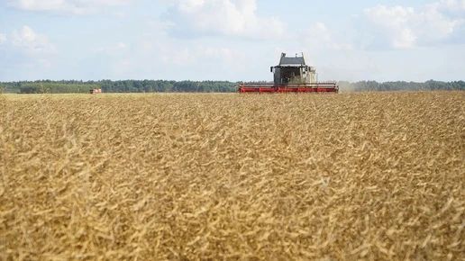 В регионе убрали четверть урожая сои и подсолнечника