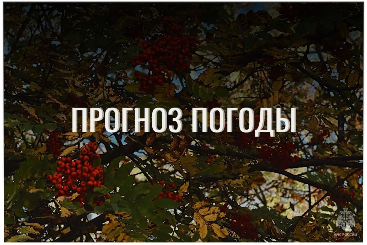 По данным ЦГМС, 1 октября в регионе прогнозируется переменная облачность