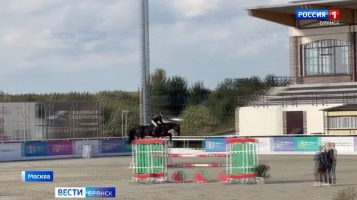 Брянская спортсменка стала лучшей в Евразии по конному спорту