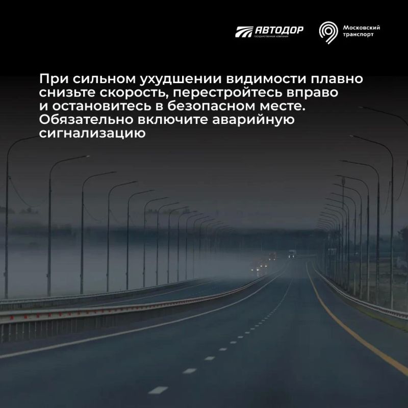 Как безопасно управлять автомобилем в условиях ограниченной видимости? Как безопасно управлять автомобилем в условиях ограниченной видимости?