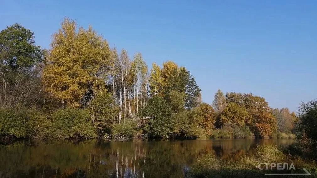 Завтра, 7 октября, в Брянской области ожидается переменная облачность