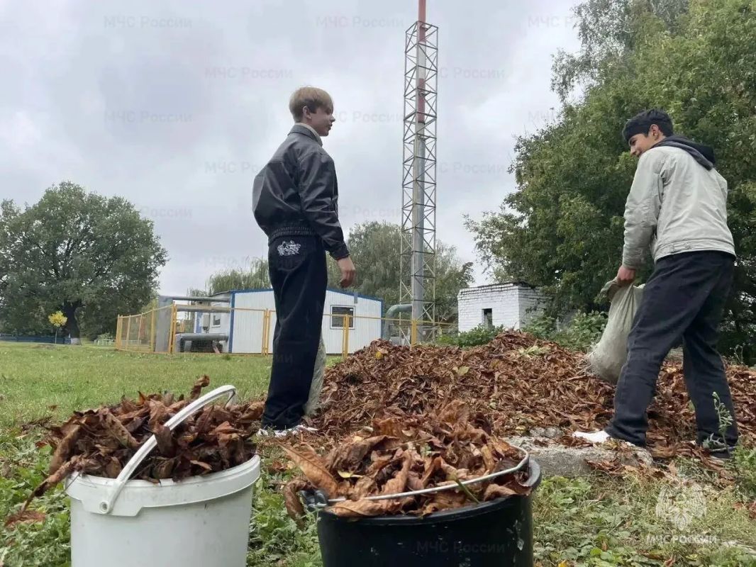 Комаричская молодёжь присоединилась к месячнику «Сухая трава»