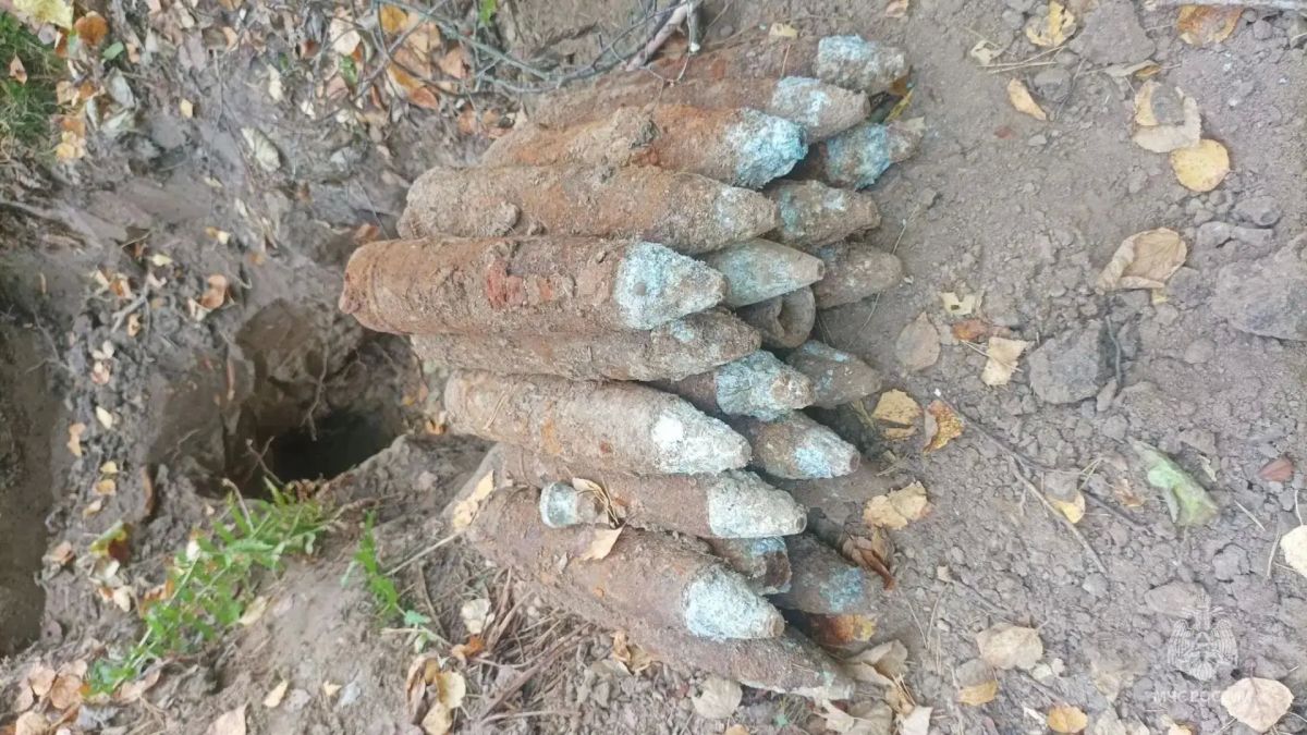 На территории Брянской области обезврежен взрывоопасный предмет времён Великой Отечественной войны