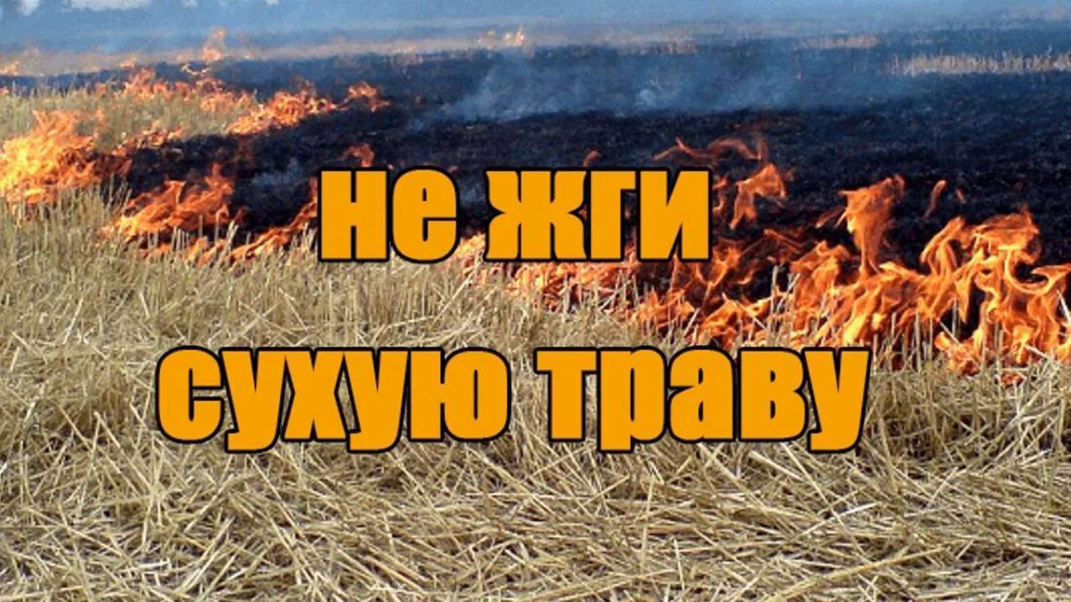 С наступлением осени приобретает актуальность проблема стихийного сжигания сухой травы