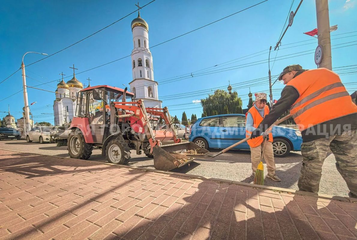 Город чистят от опавших листьев
